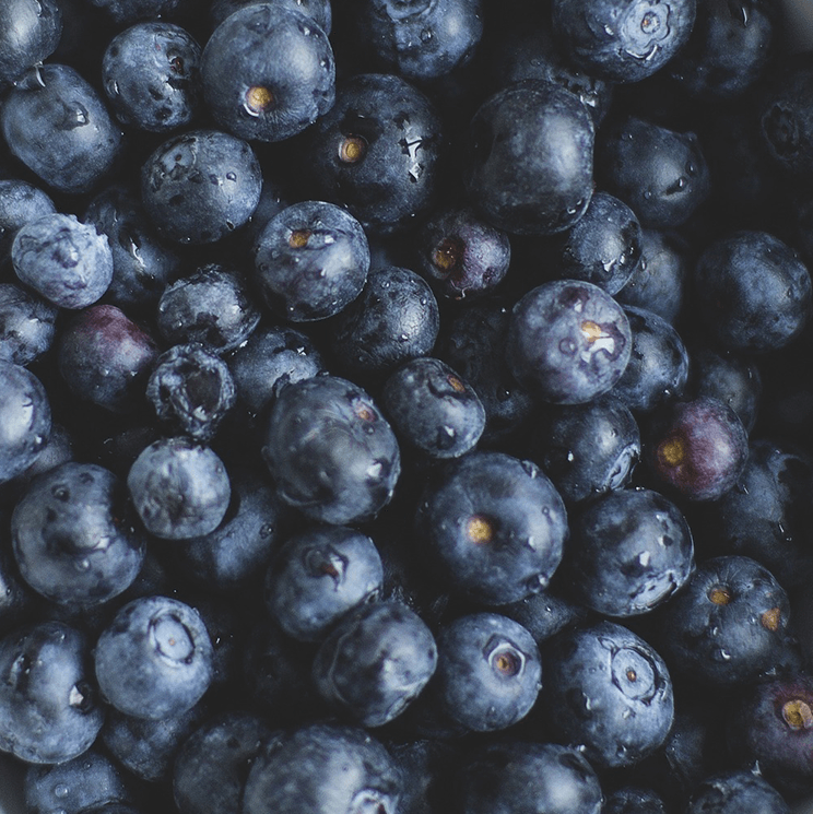 Lots of blueberries