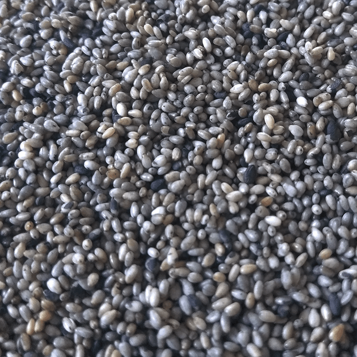 A grey collection of sesame seed
